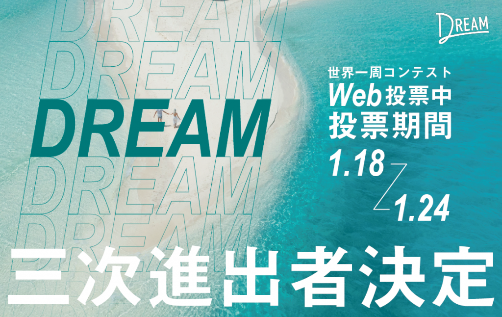Dream Tour～夢の旅人～ [DVD]